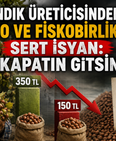 Üretici İsyan Bayrağını Açtı: TMO ve FİSKOBİRLİK Ne İşe Yarıyor?