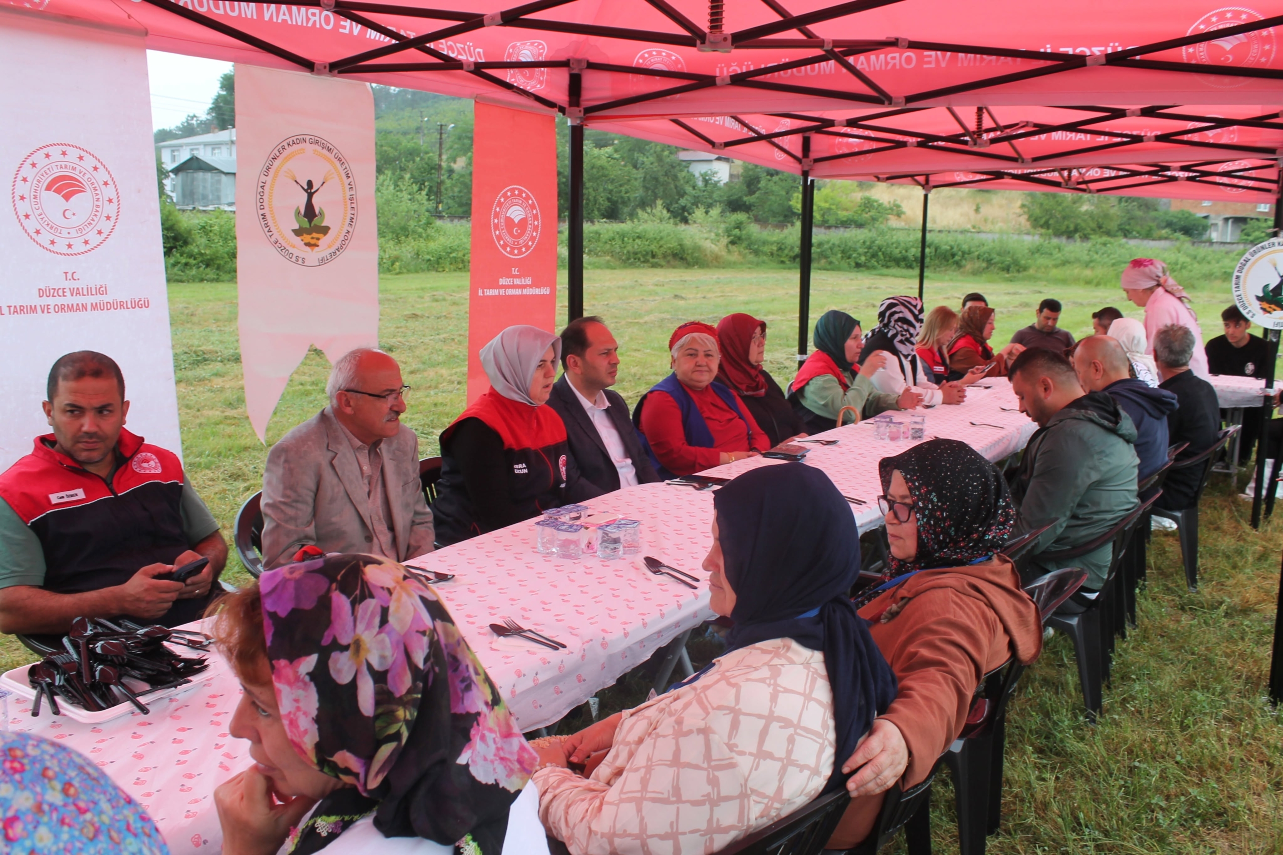 Otomatik taslak