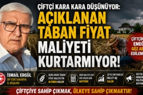 Ergül ''Çiftçi Kara Kara Düşünüyor: Açıklanan Taban Fiyat Maliyeti Kurtarmıyor''!