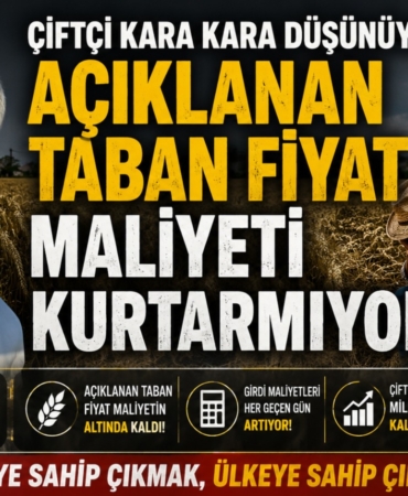 Ergül ''Çiftçi Kara Kara Düşünüyor: Açıklanan Taban Fiyat Maliyeti Kurtarmıyor''!