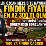 Talih Özcan Meclis'te Haykırdı: Fındık Fiyatı En Az 300 TL Olmalı!