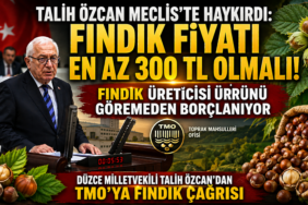 Talih Özcan Meclis'te Haykırdı: Fındık Fiyatı En Az 300 TL Olmalı!