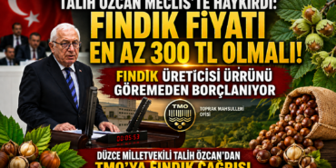 Talih Özcan Meclis'te Haykırdı: Fındık Fiyatı En Az 300 TL Olmalı!