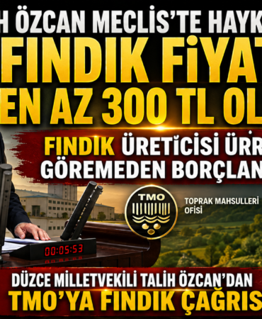 Talih Özcan Meclis'te Haykırdı: Fındık Fiyatı En Az 300 TL Olmalı!