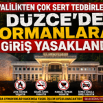 Düzce'de Fındıklıkta Ateş Yakmak Yasaklandı!