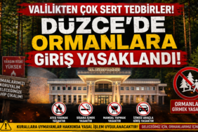 Düzce'de Fındıklıkta Ateş Yakmak Yasaklandı!
