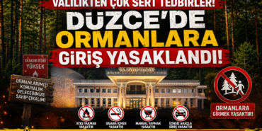 Düzce'de Fındıklıkta Ateş Yakmak Yasaklandı!