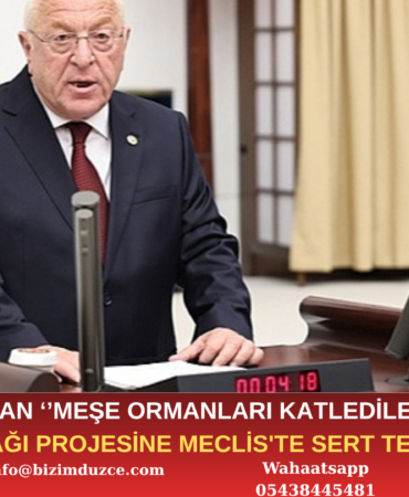 TALİH ÖZCAN'DAN TAŞ OCAĞI PROJESİNE MECLİS'TE SERT TEPKİ!