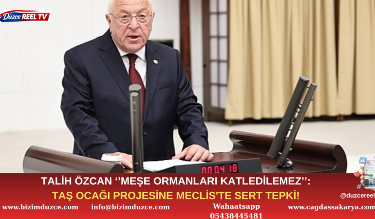 TALİH ÖZCAN'DAN TAŞ OCAĞI PROJESİNE MECLİS'TE SERT TEPKİ!