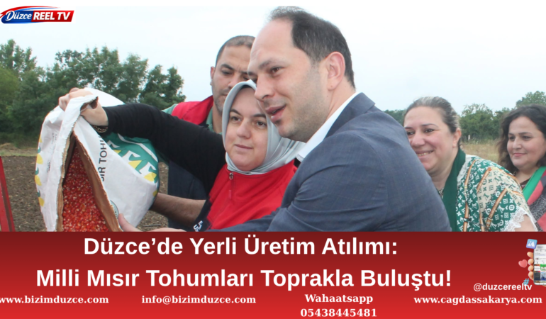 Düzce’de Yerli Mısır Tohumları Toprakla Buluştu!