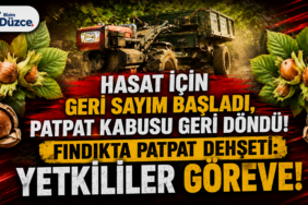 HASAT İÇİN GERİ SAYIM BAŞLADI, PATPAT KABUSU GERİ DÖNDÜ! HASAT İÇİN GERİ SAYIM BAŞLADI, PATPAT KABUSU GERİ DÖNDÜ!