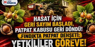 HASAT İÇİN GERİ SAYIM BAŞLADI, PATPAT KABUSU GERİ DÖNDÜ! HASAT İÇİN GERİ SAYIM BAŞLADI, PATPAT KABUSU GERİ DÖNDÜ!