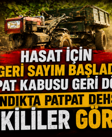 HASAT İÇİN GERİ SAYIM BAŞLADI, PATPAT KABUSU GERİ DÖNDÜ! HASAT İÇİN GERİ SAYIM BAŞLADI, PATPAT KABUSU GERİ DÖNDÜ!