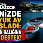 Denizde Büyük Av Başladı: Balon Balığına Dev Destek!