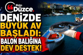 Denizde Büyük Av Başladı: Balon Balığına Dev Destek!