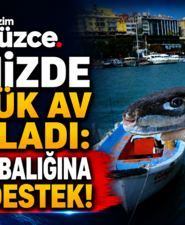 Denizde Büyük Av Başladı: Balon Balığına Dev Destek!