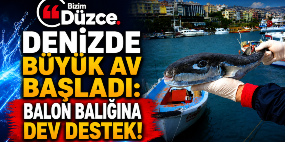 Denizde Büyük Av Başladı: Balon Balığına Dev Destek!