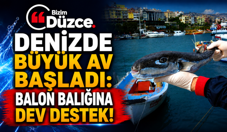 Denizde Büyük Av Başladı: Balon Balığına Dev Destek!