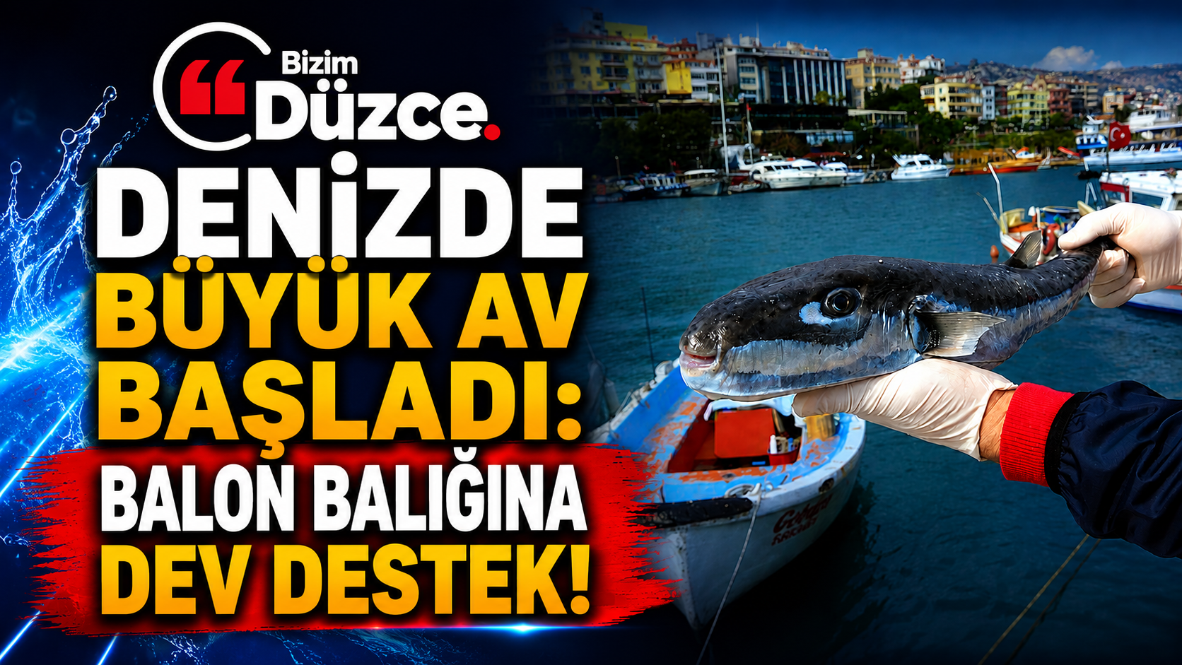 Denizde Büyük Av Başladı: Balon Balığına Dev Destek!