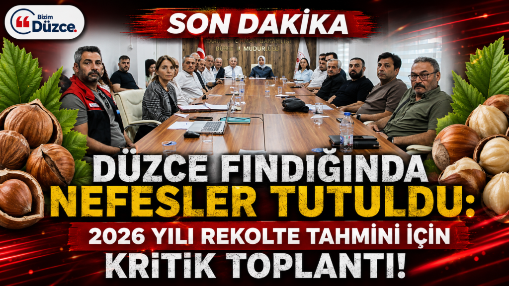 Otomatik taslak