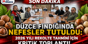 DÜZCE'DE FINDIK REKOLTESİ MASAYA YATIRILDI! Otomatik taslak
