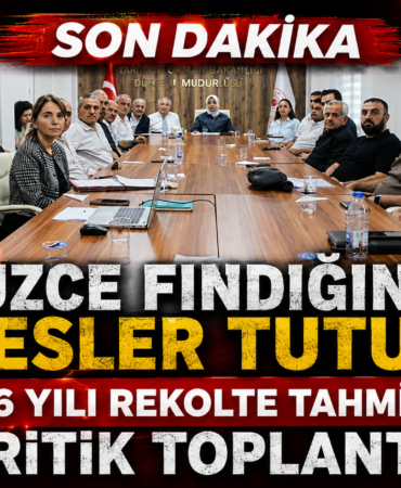 DÜZCE'DE FINDIK REKOLTESİ MASAYA YATIRILDI! Otomatik taslak