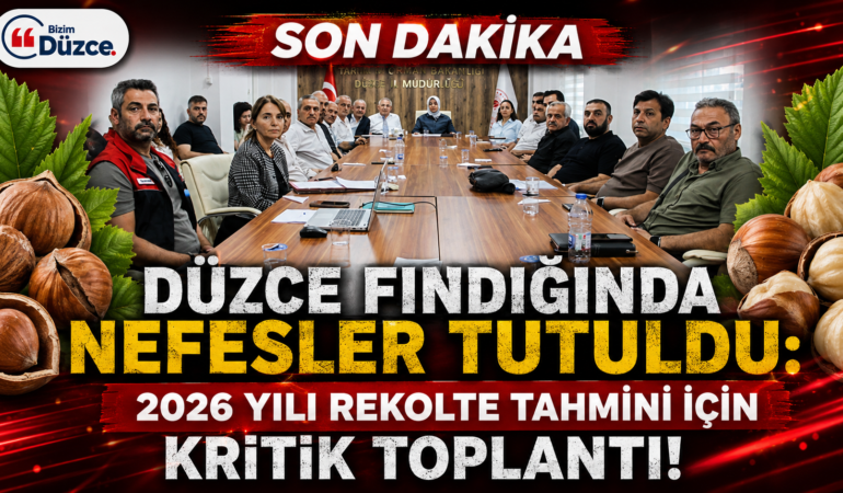 Otomatik taslak