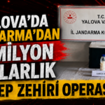 YALOVA'DA jANDARMA'DAN 5 MİLYON DOLARLIK AREP ZEHİRİ OPERASYON: YALOVA'DA jANDARMA'DAN 5 MİLYON DOLARLIK REP ZEHİRİ OPERASYON: