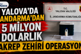 YALOVA'DA jANDARMA'DAN 5 MİLYON DOLARLIK AREP ZEHİRİ OPERASYON: YALOVA'DA jANDARMA'DAN 5 MİLYON DOLARLIK REP ZEHİRİ OPERASYON: