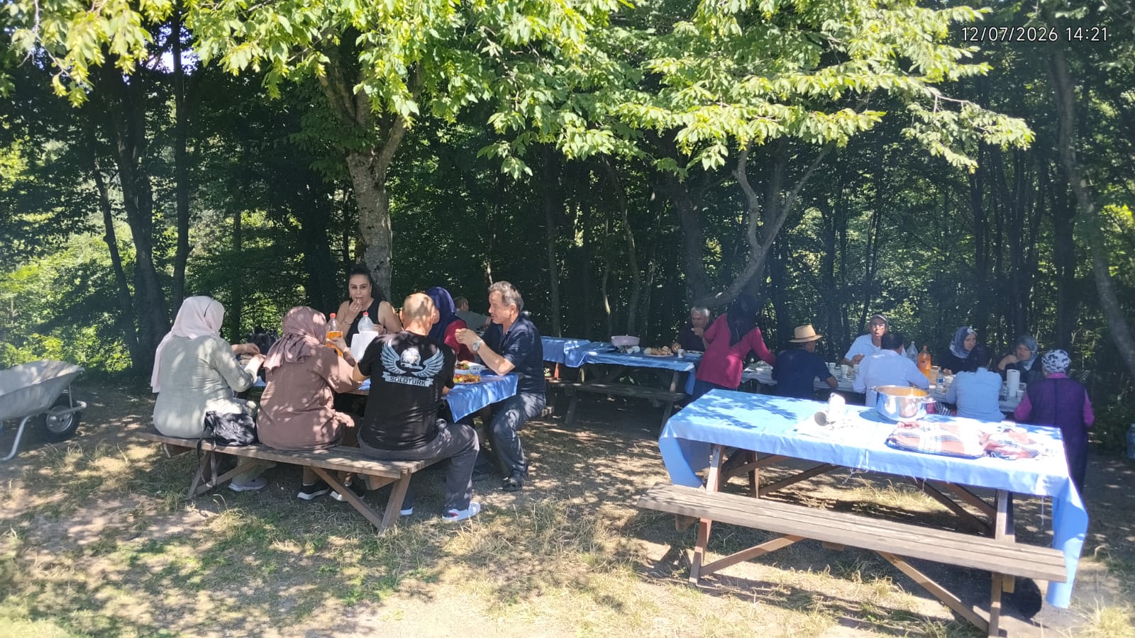 DEMOKRAT PARTİ DÜZCE TEŞKİLATI’NDAN YAZ ŞENLİĞİ: DEMOKRAT PARTİ DÜZCE TEŞKİLATI’NDAN YAZ ŞENLİĞİ: