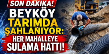 Beyköy Belediyesi'nden Her Mahalleye Sulama Hattı!