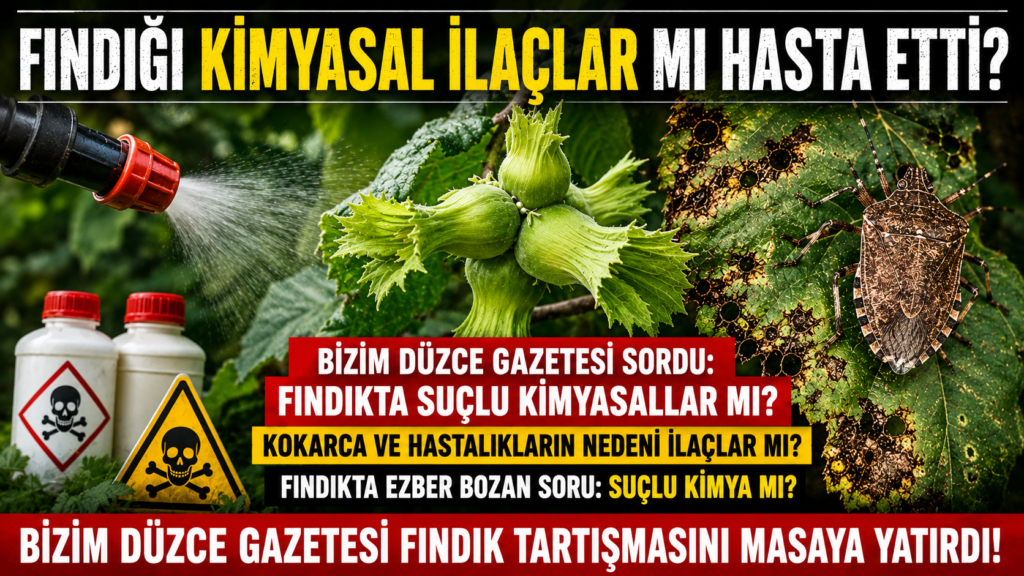 Fındığı Kimyasal İlaçlar mı Hasta Ediyor?