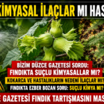 Fındığı Kimyasal İlaçlar mı Hasta Ediyor?