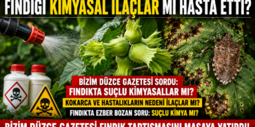 Fındığı Kimyasal İlaçlar mı Hasta Ediyor?