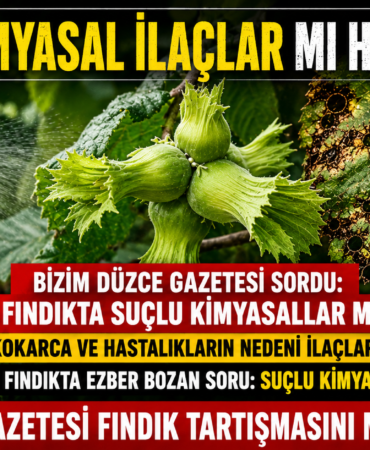 Fındığı Kimyasal İlaçlar mı Hasta Ediyor?