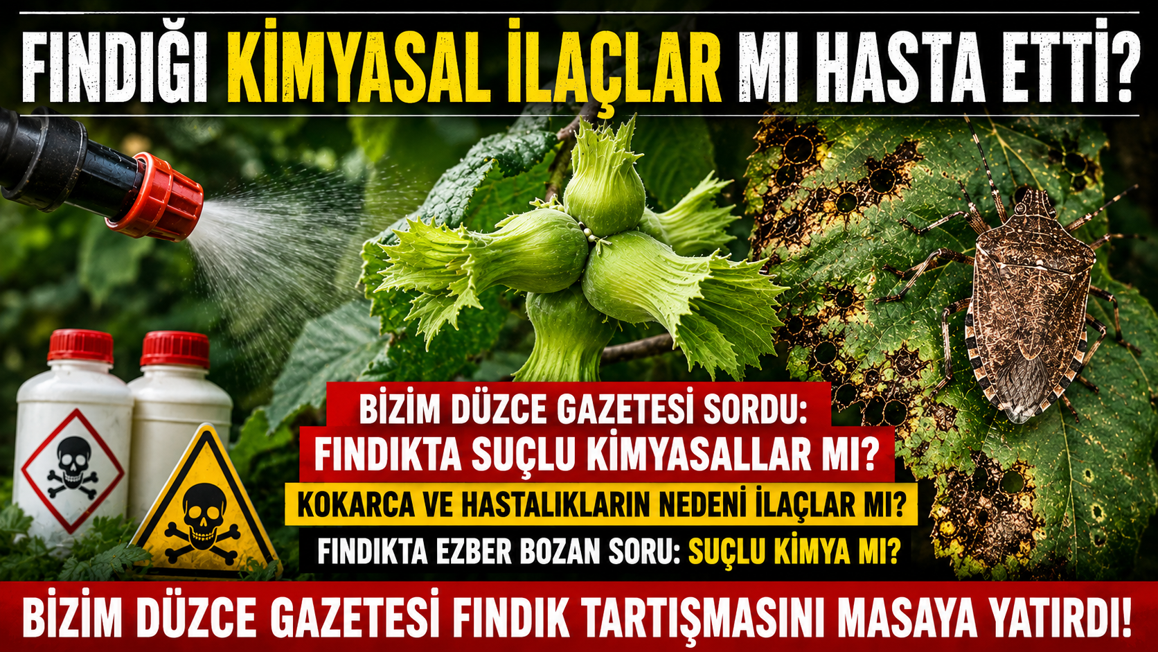 Fındığı Kimyasal İlaçlar mı Hasta Ediyor?