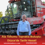 Düzce'de İlk Kez Siyez Buğdayı Yetiştirildi