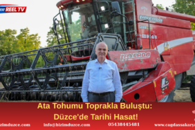 Düzce'de İlk Kez Siyez Buğdayı Yetiştirildi