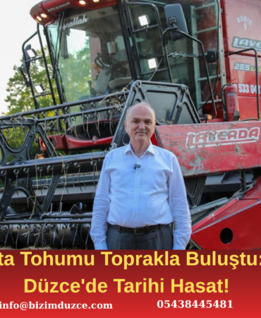 Düzce'de İlk Kez Siyez Buğdayı Yetiştirildi