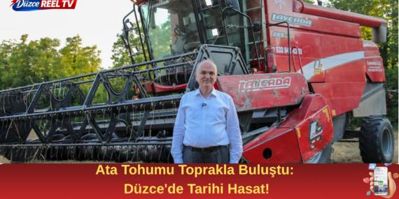 Düzce'de İlk Kez Siyez Buğdayı Yetiştirildi