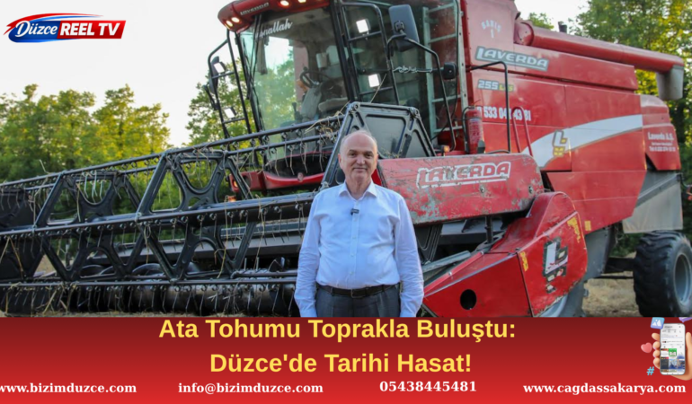 Düzce'de İlk Kez Siyez Buğdayı Yetiştirildi