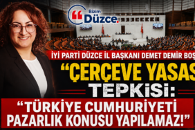 BAŞKAN BOŞVERDE ÇERÇEVE YASASI'SINA SERT TEPKİ!