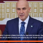 Turhan Çömez’den İthal Hayvan Skandalı İddiası: