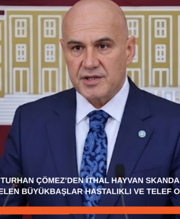 Turhan Çömez’den İthal Hayvan Skandalı İddiası: