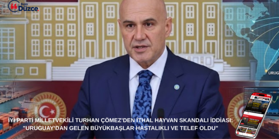 Turhan Çömez’den İthal Hayvan Skandalı İddiası: Turhan Çömez’den İthal Hayvan Skandalı İddiası:
