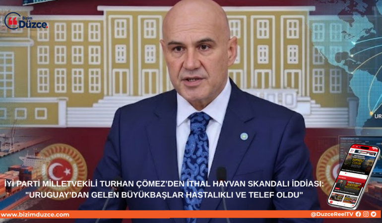 Turhan Çömez’den İthal Hayvan Skandalı İddiası: Turhan Çömez’den İthal Hayvan Skandalı İddiası: