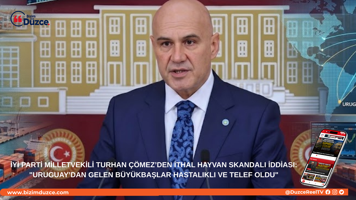 Turhan Çömez’den İthal Hayvan Skandalı İddiası: Turhan Çömez’den İthal Hayvan Skandalı İddiası: