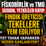 AKARYAKITTA BÜYÜK İNDİRİM KAPIDA thumbnail
