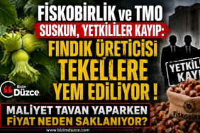 Fındık Üreticisi'nin Çığlığı Kim Duyacak? Fındık Üreticisi'nin Çığlığı Kim Duyacak?