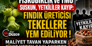 Fındık Üreticisi'nin Çığlığı Kim Duyacak?